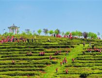 �S�����r(n��ng)��I(y��)�Ԙ˜ʻ����_������Ʒ�|�ò�