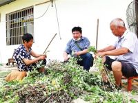 ���Lο��(w��n)Óؚ��