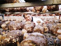 ����(zh��n)���S�����㹽���ȡ���������