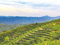 �S�h�ݵ��(zh��n)������볚� һ���~���¸�