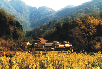 �S�ݴ��ɽ���Ҽ��L�����م^(q��)