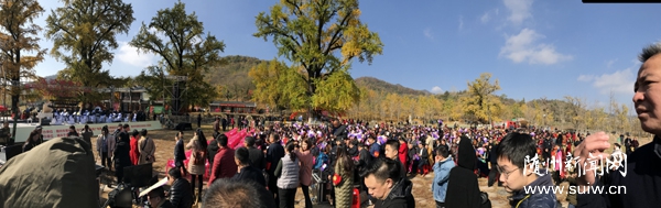 �y�Ә�(sh��)�£�����(l��)��(d��ng)�y�ӹȡ����ｻ�����(l��)��(hu��)�e��