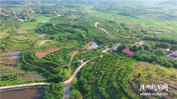 ����֬�t����ʲô�@�Ӽt��