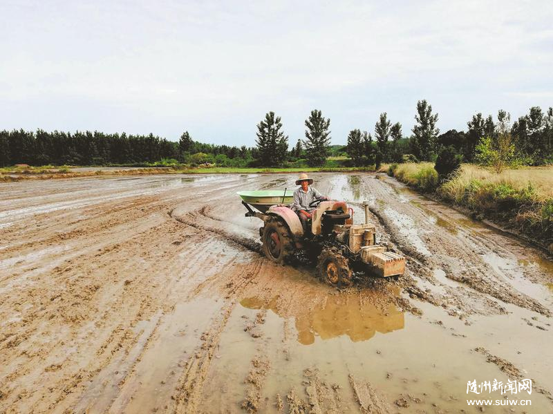 �S�ݴ��조�㵾���^(q��)�򹫹�Ʒ��