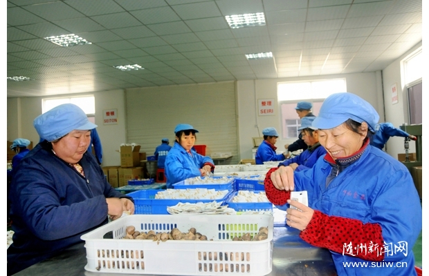 ��ɫ���╳�N�|�ρ�