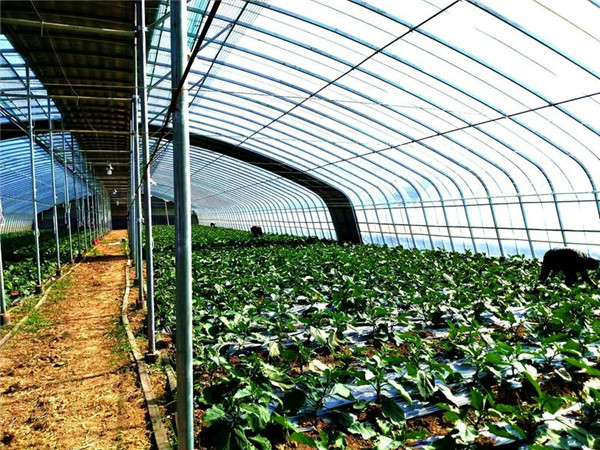 �����(zh��n)��̶䁴壺19����102�f�����ﱼ��·