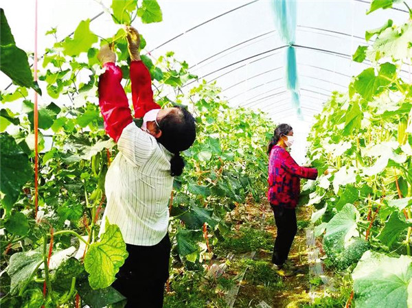 �f���(zh��n)С�Ӝϴ壺�߲˹�˾�������񱼸�·