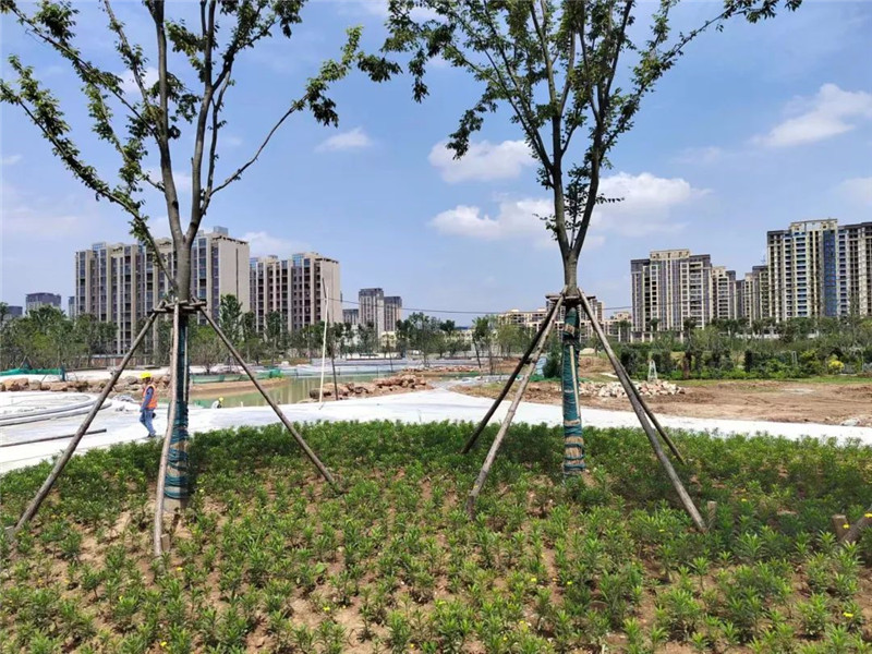 ��Ͷ�Y8000�fԪ���S����һ�w�����@����