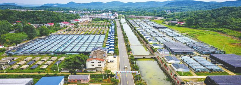 �S���д����(gu��)�҃�(y��u)��(sh��)�㹽�a(ch��n)�I(y��)��Ⱥ̽�L