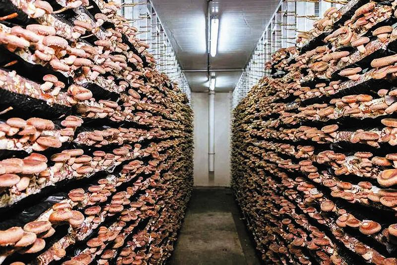 ��һ�乽������@�G�� �����S�h�㹽�a(ch��n)�I(y��)�ĳ��L�c͑׃