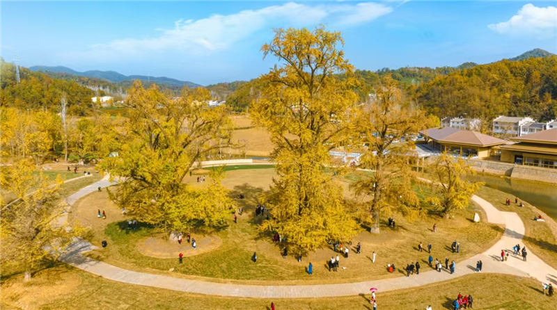 ���h�Ѕ^(q��)ί��(sh��)ӛ�LՄ����𩣺��(du��)��(bi��o)��(du��)��ȫ��(gu��)��?g��u)?qi��ng)ȫ�������l(f��)չ�|(zh��)Ч ��ȫ�и��|(zh��)���l(f��)չ��������^Ӳ��֧��