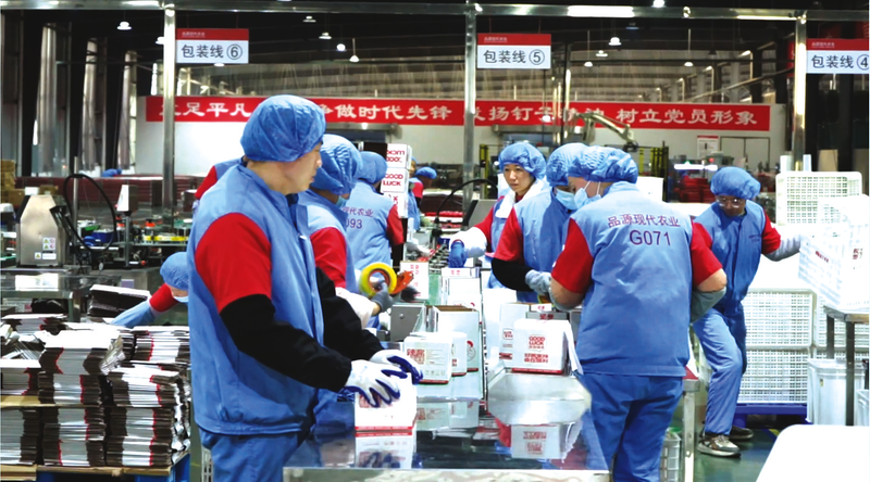 ������֧�c���O(sh��)��ƷԴ��˾�M܊�����٫@��ͻ��������6.1�f���̳�����ӆ��