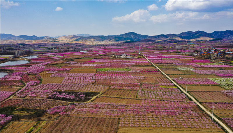 �����|(zh��)���l(f��)չ�(zh��n)���С��ƿh�(zh��n)�A��ɽ�壺�����һ������L(f��ng) ��������(j��ng)��(j��)������(d��ng)�r(sh��)