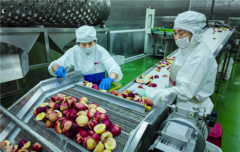 �����|(zh��)���l(f��)չ�(zh��n)���С�?j��)������Y��2�|Ԫ�����¬F(xi��n)���r(n��ng)�I(y��)�ġ�С�֘ӱ���