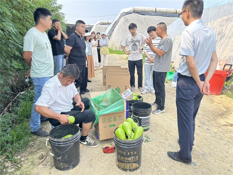 �S�h�����(zh��n)�����g���^���湦