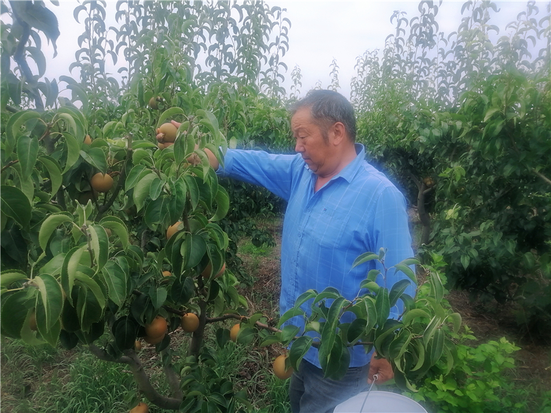 ����ý�w�����С��Ļ�ɽ����@���������r(n��ng)���\(y��n)�W(xu��)��ʮ�����(ji��n)��