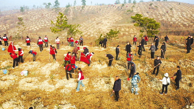 �S�����I�������x��ֲ����